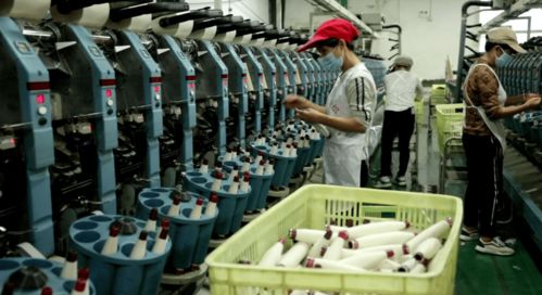 北湖區 訂單追著企業跑，服務圍著企業轉——紡織品產業的轉型與振興