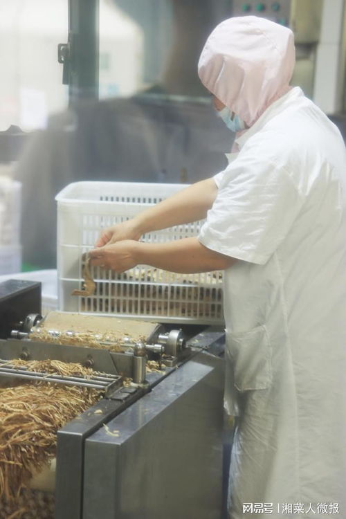 強品牌走C端 湖南省餐協赴世林食品開展產品研發交流，解碼紡織產業創新路徑